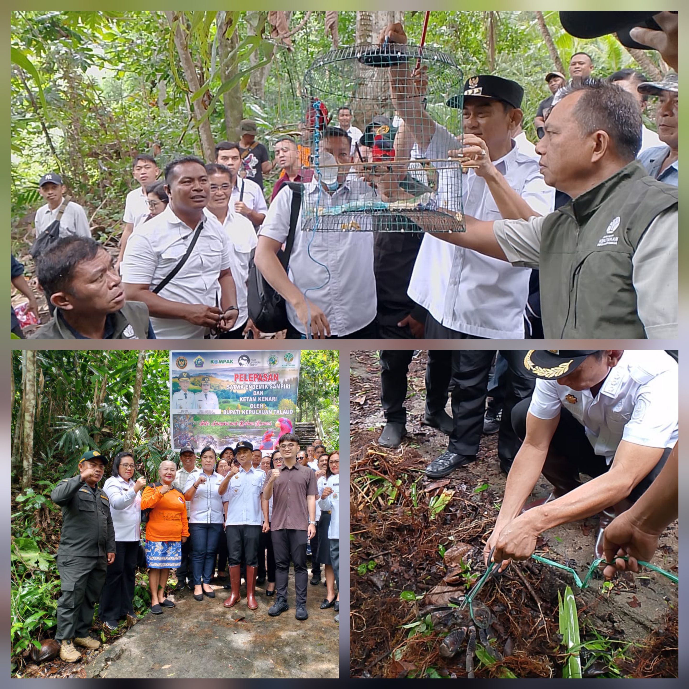 Bupati Talaud