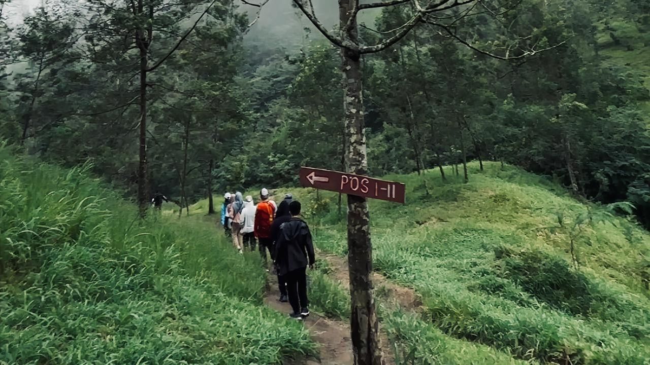 Trekking Merapi jalur pendakian lereng gunung berapi hiking