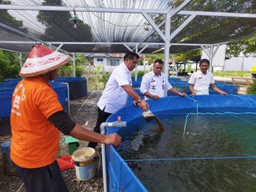 ​Tingkatkan Budidaya Ikan Nila,Lapas Namlea Terapkan Metode Bioflok