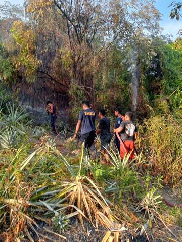 Kebakaran Lahan di Hative Besar Ambon Memakan Korban Jiwa