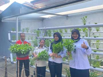 Panen Kangkung Hidroponik di Lapas Wahai,Wujud Pembinaan Positif
