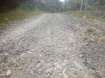 Petani Uejimi Harapkan Peningkatan Pembangunan JUT 