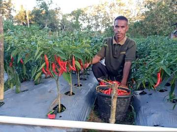 Petani di Belu Sambut Program KDMP