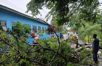Cuaca Ekstrem Landa Belu, BPBD Catat Terjadi Pohon Tumbang, dan Rumah Rusak