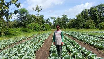 Pelaksanaan MBG Belu Serap Produk Pangan Lokal