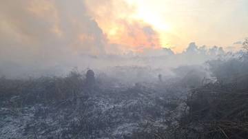 Masyarakat Diingatkan Dampak Kabut Asap Karhutla Aceh Barat 