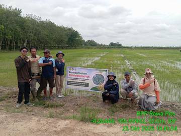 Pemanfaatan Trichoderma SP dan POC oleh Patriot Undip