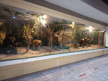 Museum Lampung: Edukasi Budaya di Tengah Minimnya Pengunjung