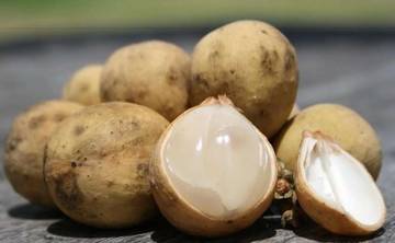 Manfaat Buah Duku untuk Kesehatan yang Jarang Diketahui