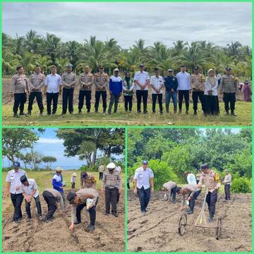 Polres Pesisir Barat Tanam Jagung Dukung Swasembada