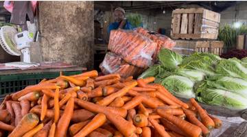 Panen Melimpah, Harga Sawi Wortel Mengalami Penurunan