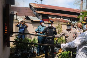 Karantina Kalsel Musnahkan Ratusan Bibit Tanaman Ilegal