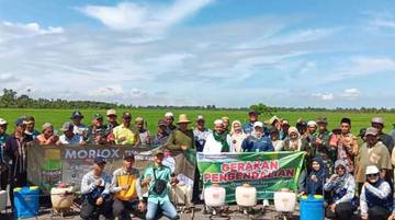 Pascabanjir Pengendalian Hama Tikus Diperkuat 