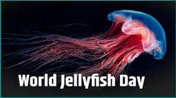 Simak Histrory World Jellyfish Day 