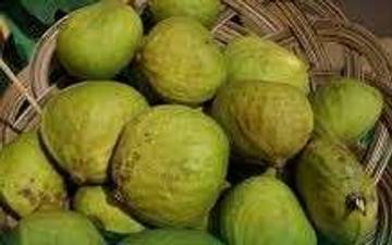 Manfaat Buah Gayam, Pangan Lokal Kaya Nutrisi