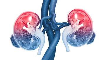 Sepuluh Gejala Awal Gagal Ginjal yang Perlu Diwaspadai