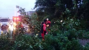 Angin Kencang di Kota Bengkulu, 23 Titik Terdampak