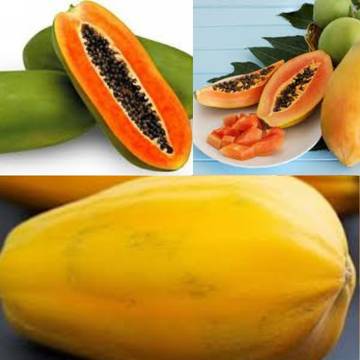 Manfaat Buah Pepaya untuk Kesehatan