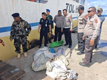 Sepuluh Penyu diamankan Saat Kapal Tiba di Pelabuhan Biak