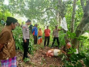 Warga Sinjai Timur Digegerkan Pencurian Jagal Sapi 