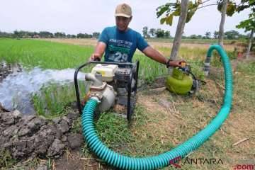 DPRD Bone: Petani Pakai Elpiji Bukan Pelanggaran