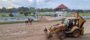 Pacu Kuda Bukittinggi-Agam Open Race 2025, Jamil; Sudah Clean and Clear