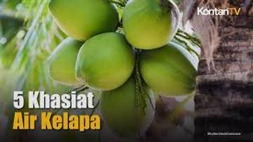 Manfaat Meminum Air Kelapa