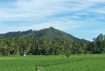 Pesona Alam Bukik Nyunyuang yang Dijuluki “Merbabunya Sumbar”