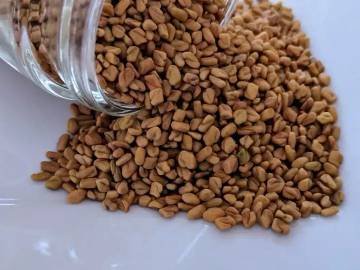 Fenugreek, Rempah Tradisional Kaya Manfaat Kesehatan