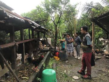 Denpasar Intensif Awasi Ternak Cegah Penyakit LSD