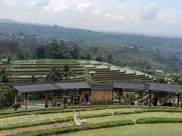 Rekomendasi Pansus Jaga Status Jatiluwih Warisan Budaya Dunia