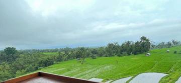 Cuaca Ekstrem Ancam Ketahanan Pangan