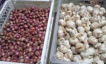 Harga Bawang di Pasar Danga Mbay Nagekeo Fluktuatif