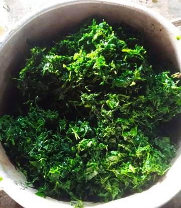 Olahan Daun Singkong Yang Menggugah Selera