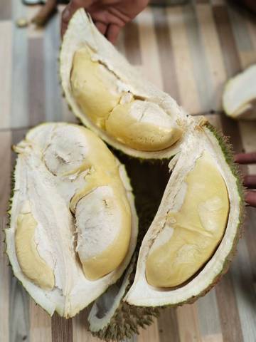 Hati Hati Memberikan Durian Pada Anak