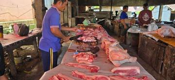 Kebutuhan Tinggi, Ternak Babi Jadikan Skala Usaha