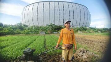 Potret Akim Petani Garapan di Samping Jakarta International Stadion