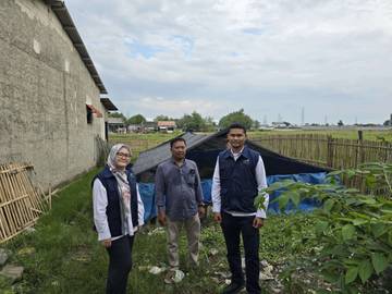 PLN Kembangkan Budidaya Lele Berbasis Pemberdayaan Masyarakat 