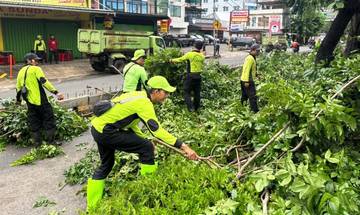 Pemkot Jakbar Pangkas 10.217 Pohon Sepanjang 2025