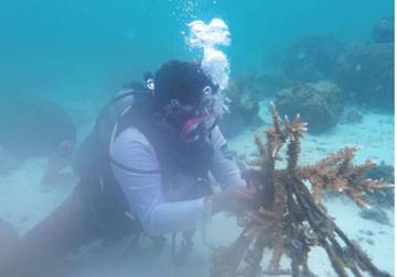Sudin KPKP Kepulauan Seribu Lakukan Transplantasi Terumbu Karang