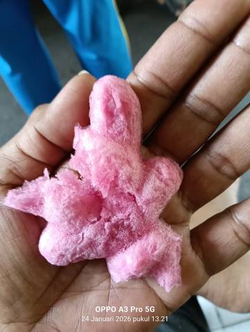 Polres Jakpus Pastikan Es Viral Bukan Berbahan Spon