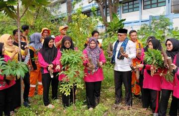 TP PKK Pulau Untung Jawa Panen Singkong
