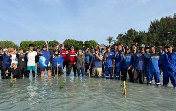 Ratusan Bibit Mangrove, Ditanam di Kepulauan Seribu