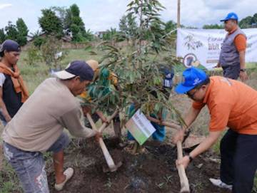 Unmuh Jember Tanam Ratusan Bibit Durian Hibah 