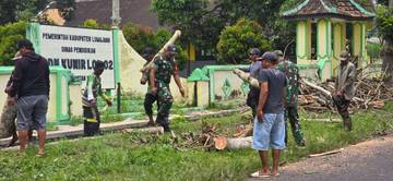 Warga Kunir Lor Tebang Pohon Antisipasi Angin Kencang