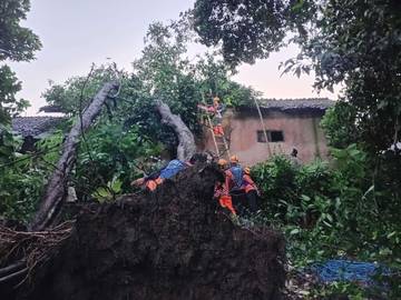 Hujan Angin Rusak Rumah dan Tumbangkan Pohon