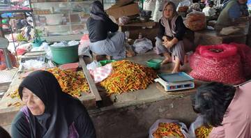 Harga Cabai di Kediri Terendah Rp.16.000