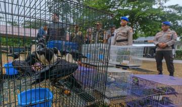Ratusan Burung Endemik Selundupan di Sultra, Dilepasliarkan Kehabitatnya