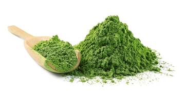 Tren Matcha dalam Makanan dan Minuman Kekinian