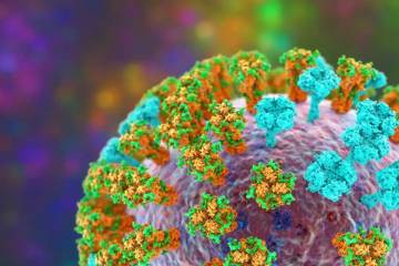 Mengenal Super Flu Subclade K yang Sedang Mewabah